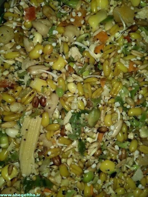 میکس غذای طوطی سانان